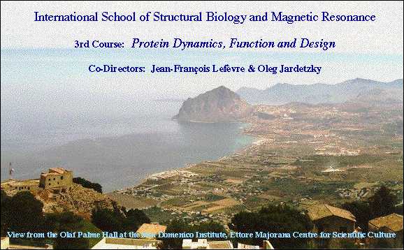 3rd Course: Dynamics, Structure and Function of Biological Macromolecules, Directors:  J.-F. Lefèvre and O. Jardetzky.