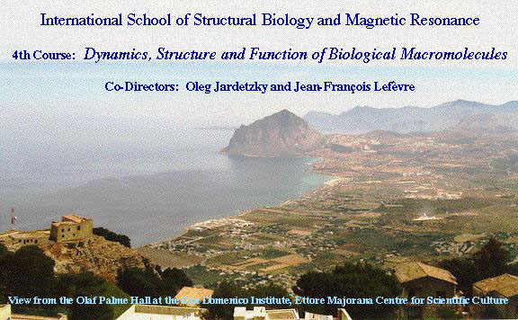 4th Course: Dynamics, Structure and Function of Biological Macromolecules, Directors: O. Jardetzky and J.-F. Lefèvre.